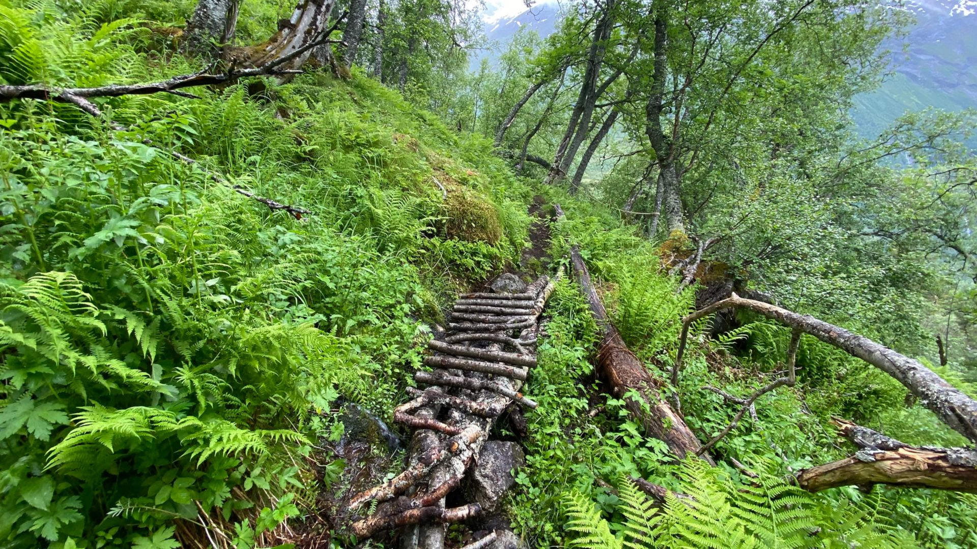 GEI19_Wanderweg7_PR_2025_quer_007.jpg