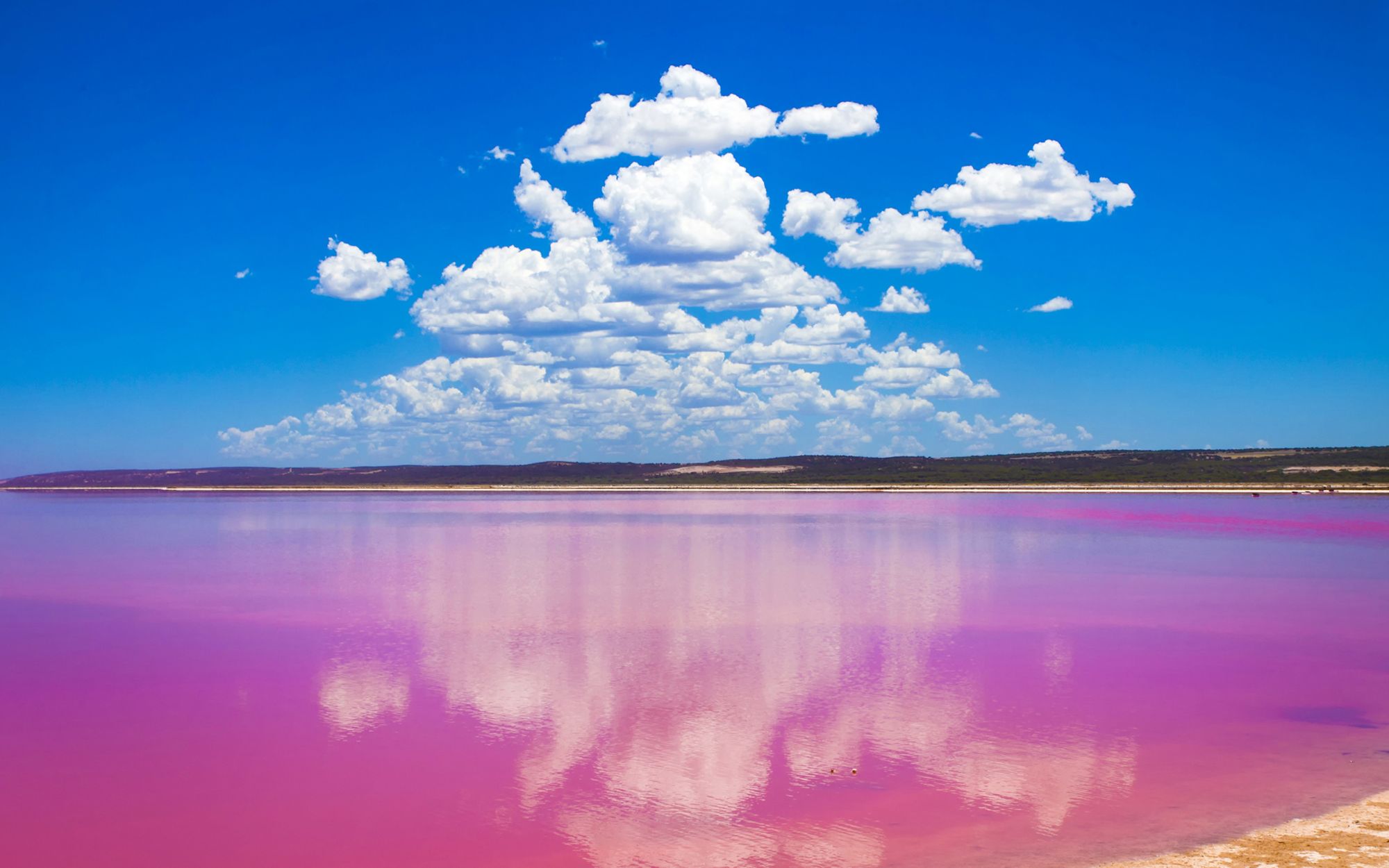 Kalbarri Skywalk & Picknick