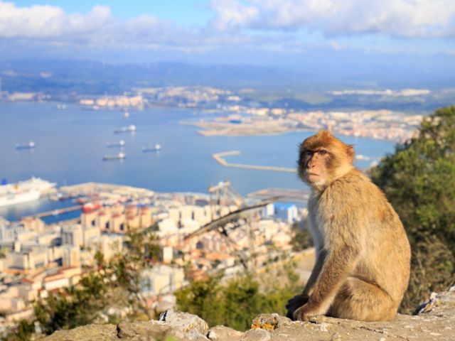 GIB01_RockTour_001.jpg