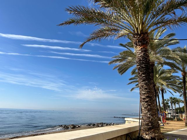 GIB09_PromenadeMarbella_DI_2025_008.jpeg