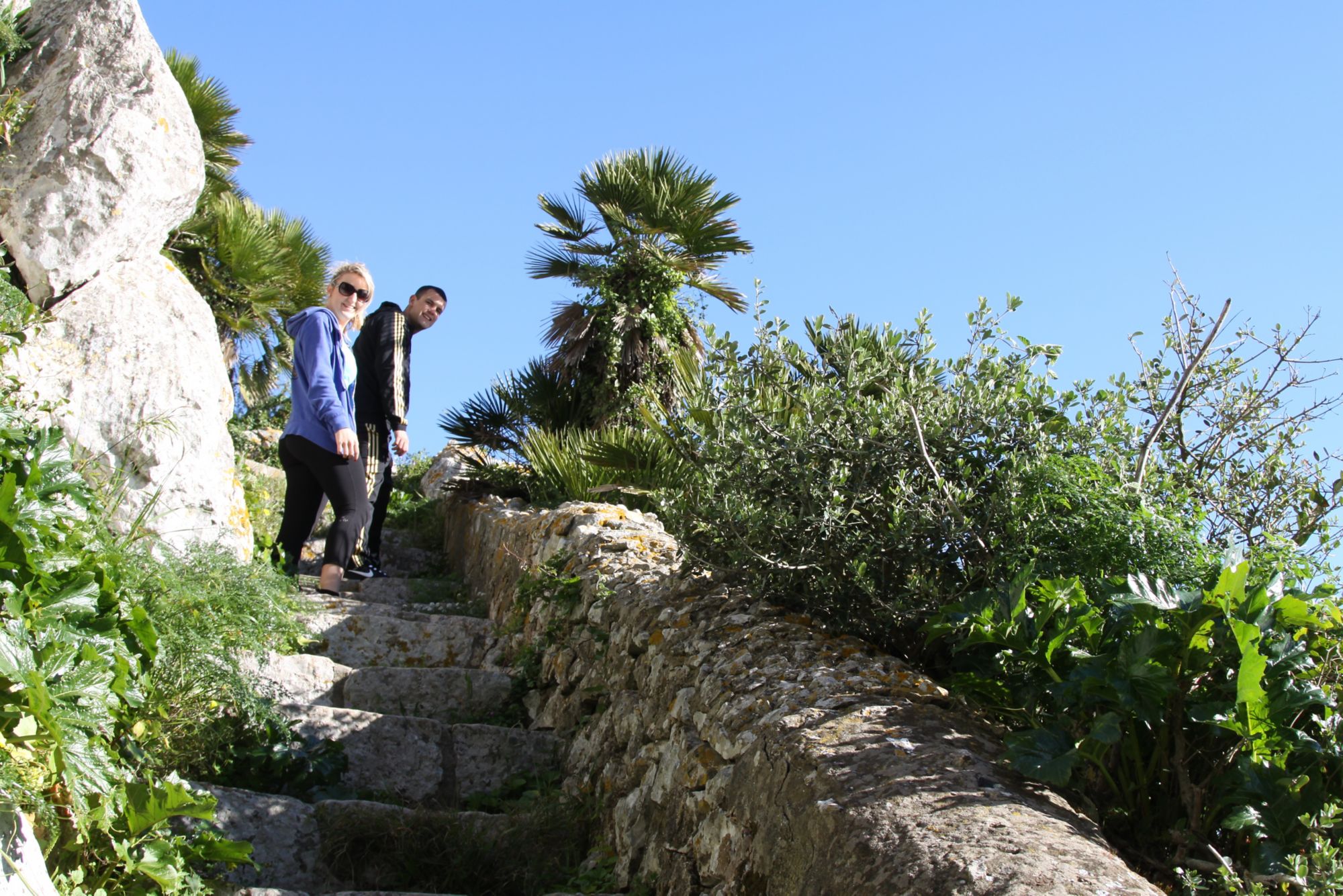 GIB16_MedSteps2_MHBland_2025_002.JPG