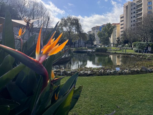 GIB55_Citypark_DI_2025_006.JPG