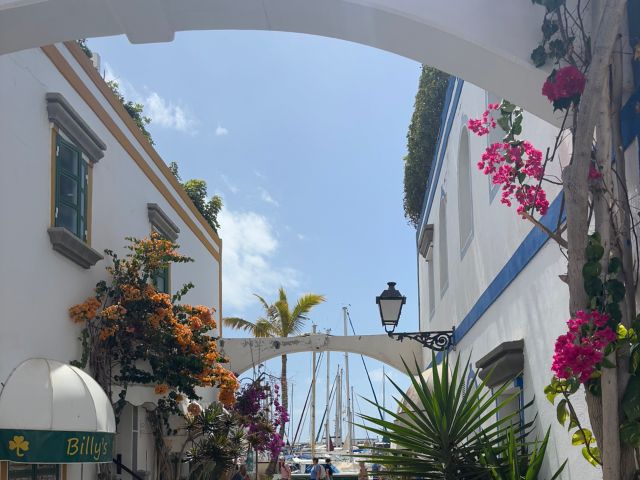 GRA30_PuertodeMogan_MA_2025_002.JPG