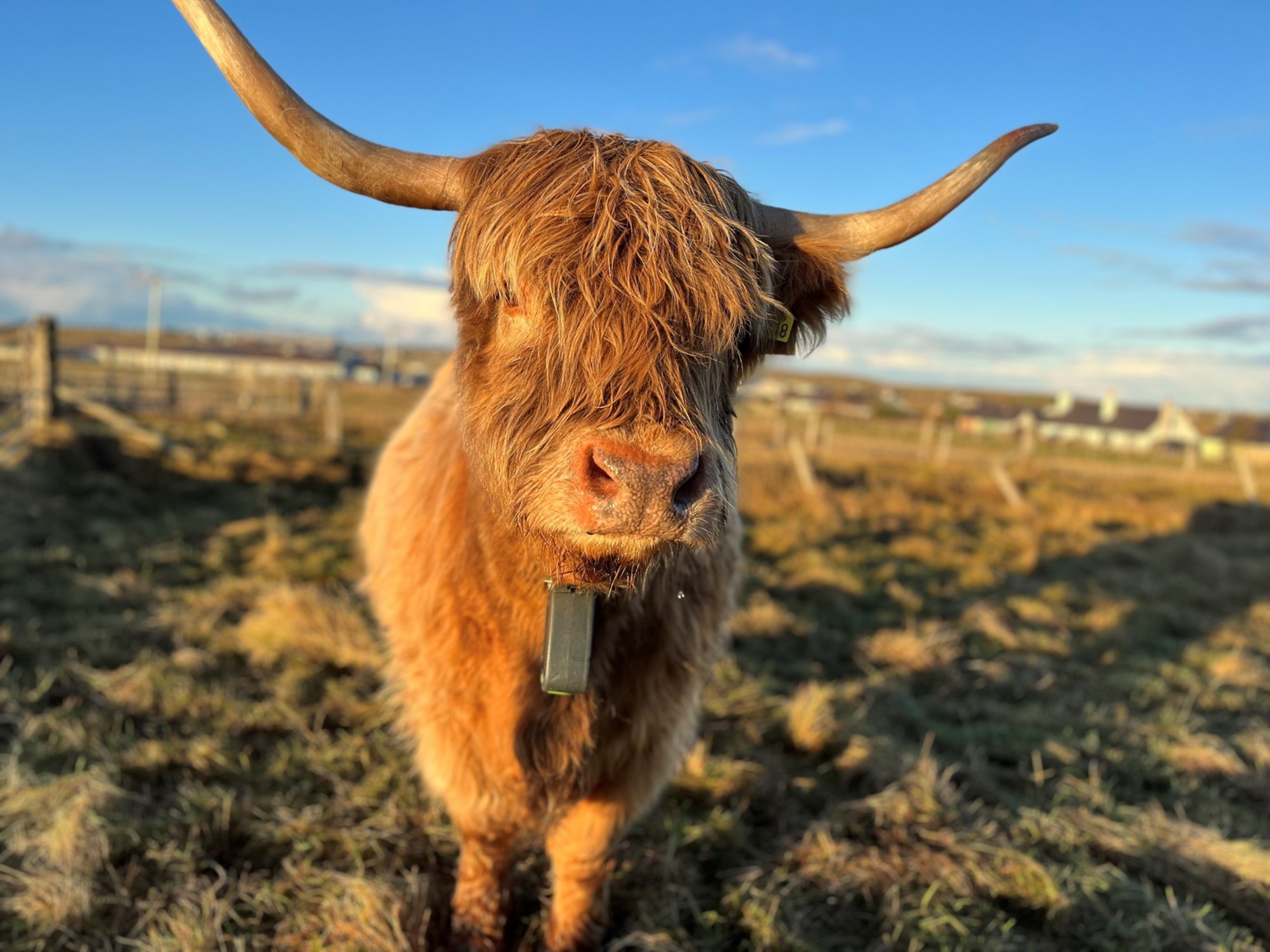 Schottisches Landidyll erleben