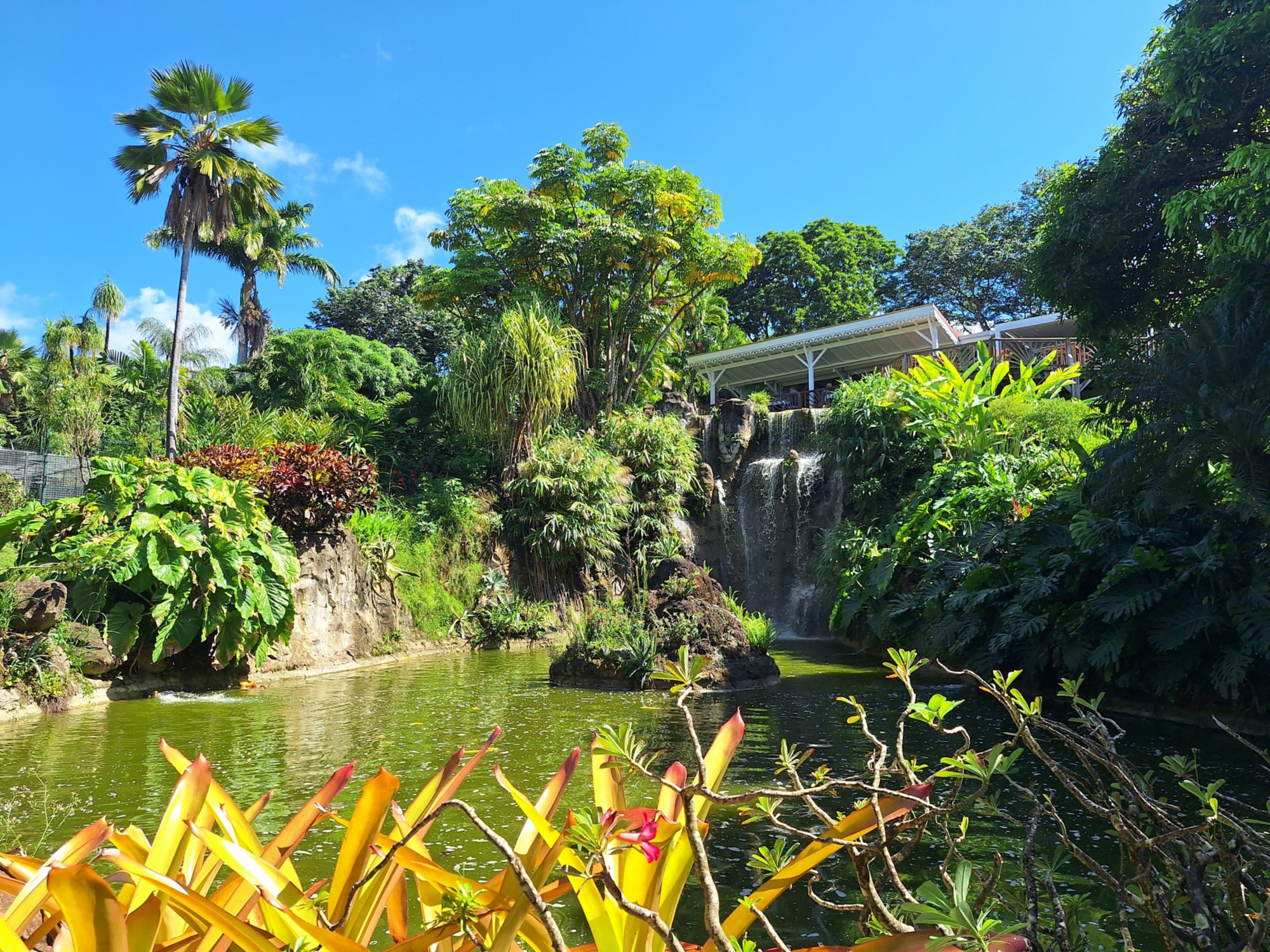 Botanischer Garten und Strand