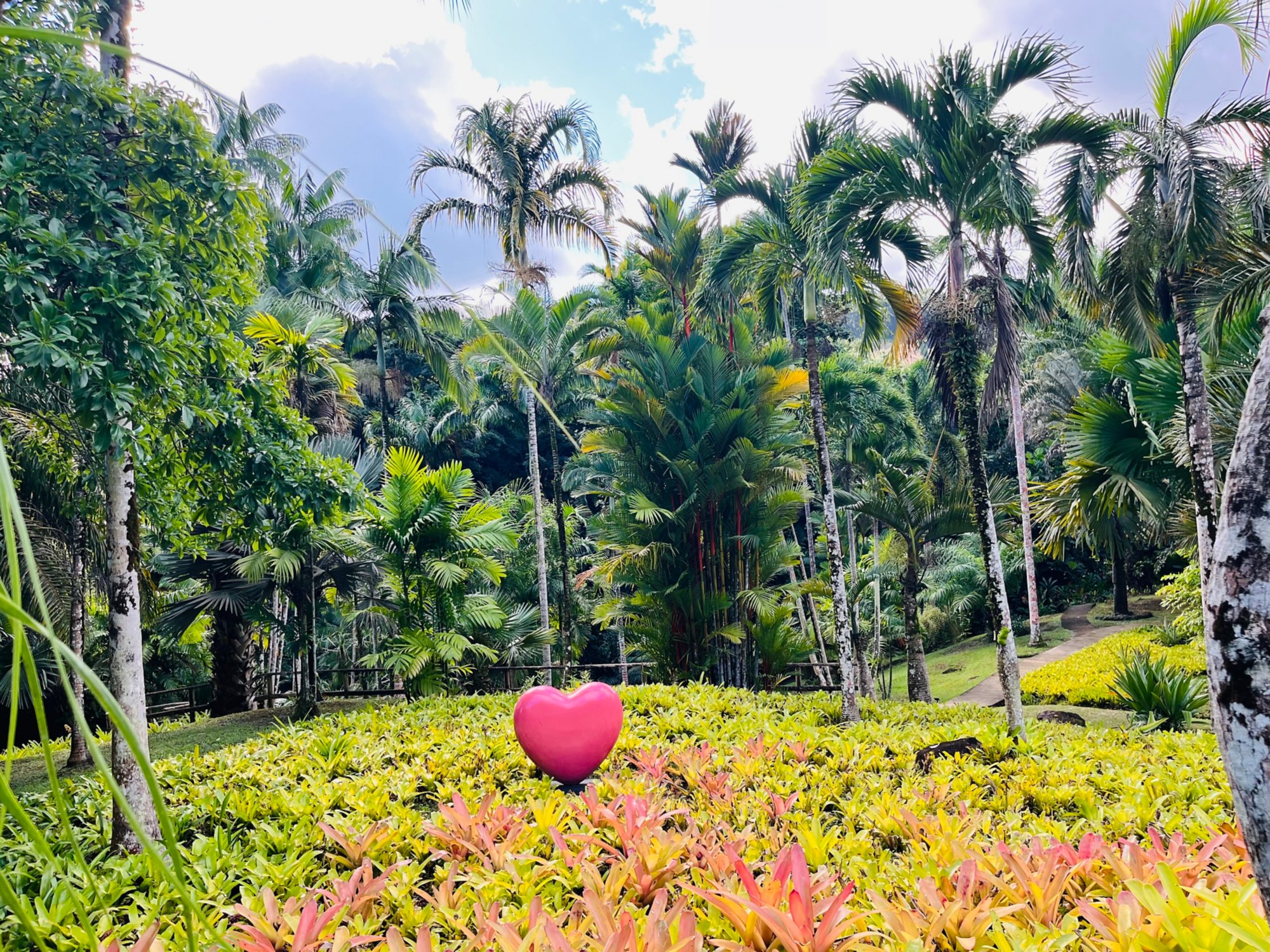Exotisches Guadeloupe