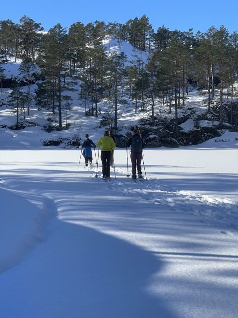 Schneeschuhwanderung mit "magischem" Aussichtspunkt