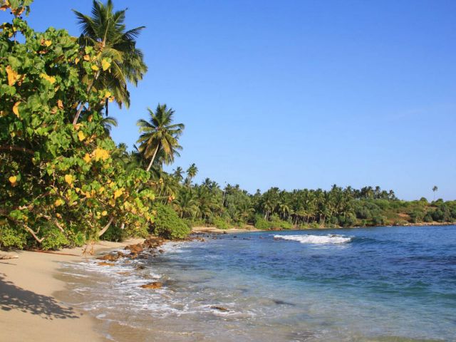 Strandtransfer nach Hiriketiya Beach