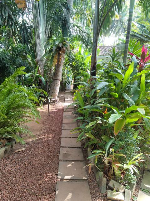 HBA15_JungleGarden2_Lotus_2025_hoch.jpeg