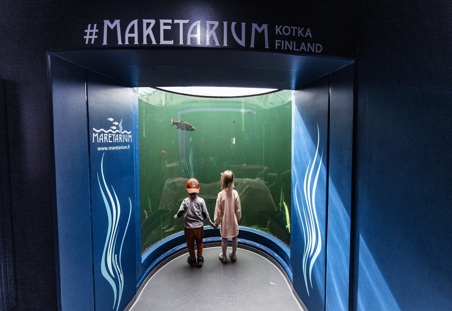 Maretarium - Finnlands Wasserwelt