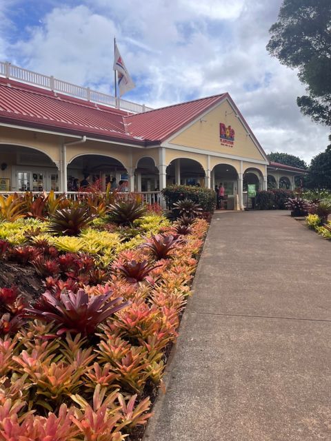 HNL08_NorthShoreAdventure4-DolePlantationEntry_003.jpg