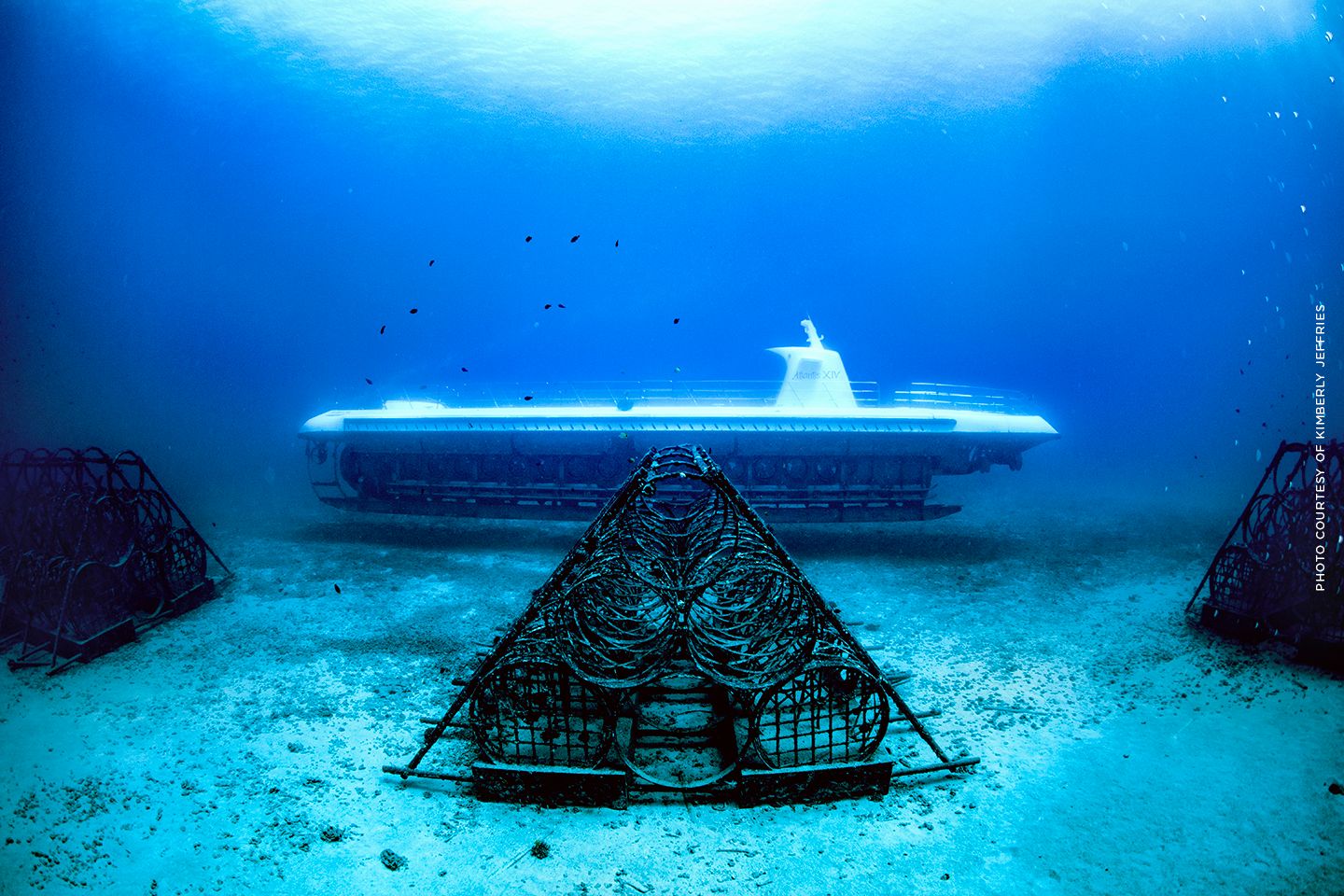 HNL12_Submarinephoto_003.jpg