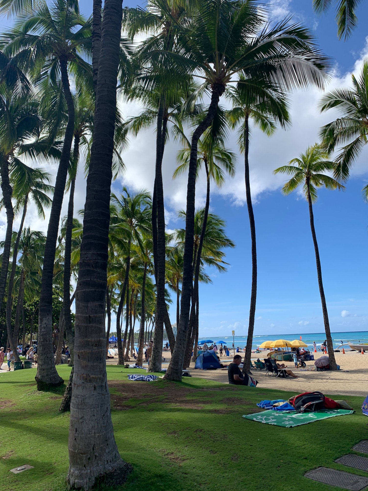 Pearl Harbor, Honolulu und Waikiki