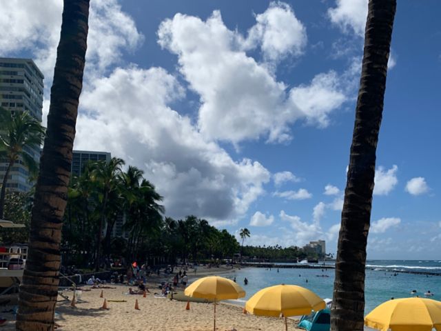 Waikiki auf eigene Faust