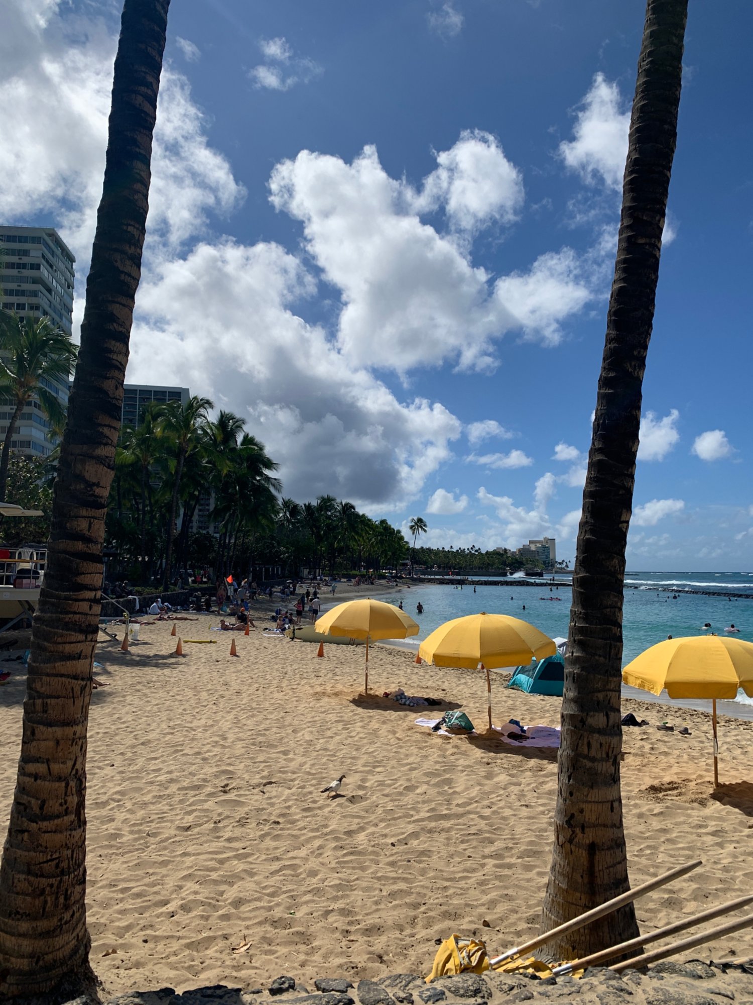 Waikiki auf eigene Faust