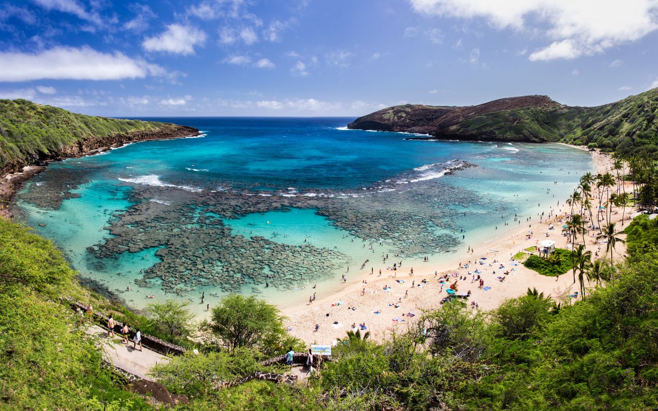 Sites, Bites, and Sips (1280 x 800 px) - Hanauma Bay