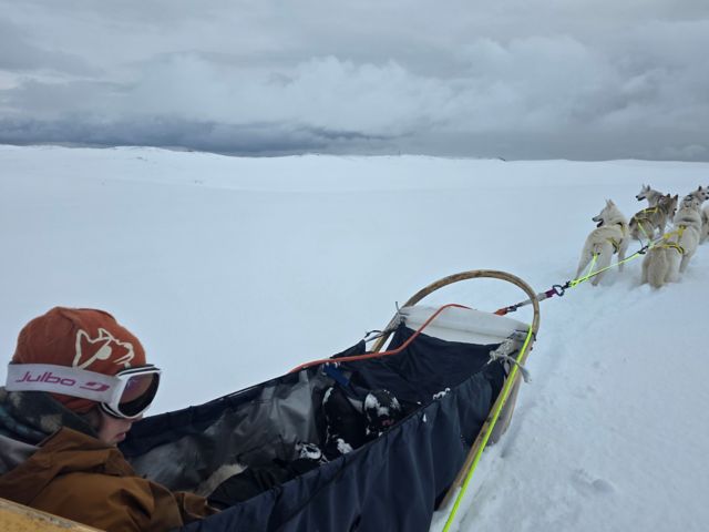 HUSKYSLEDDING.jpg