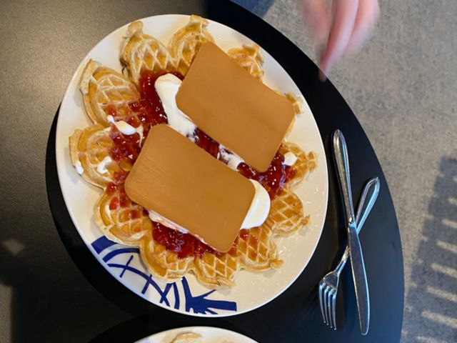 HVG01_HVG18_WaffelnBE_2024_010.JPG