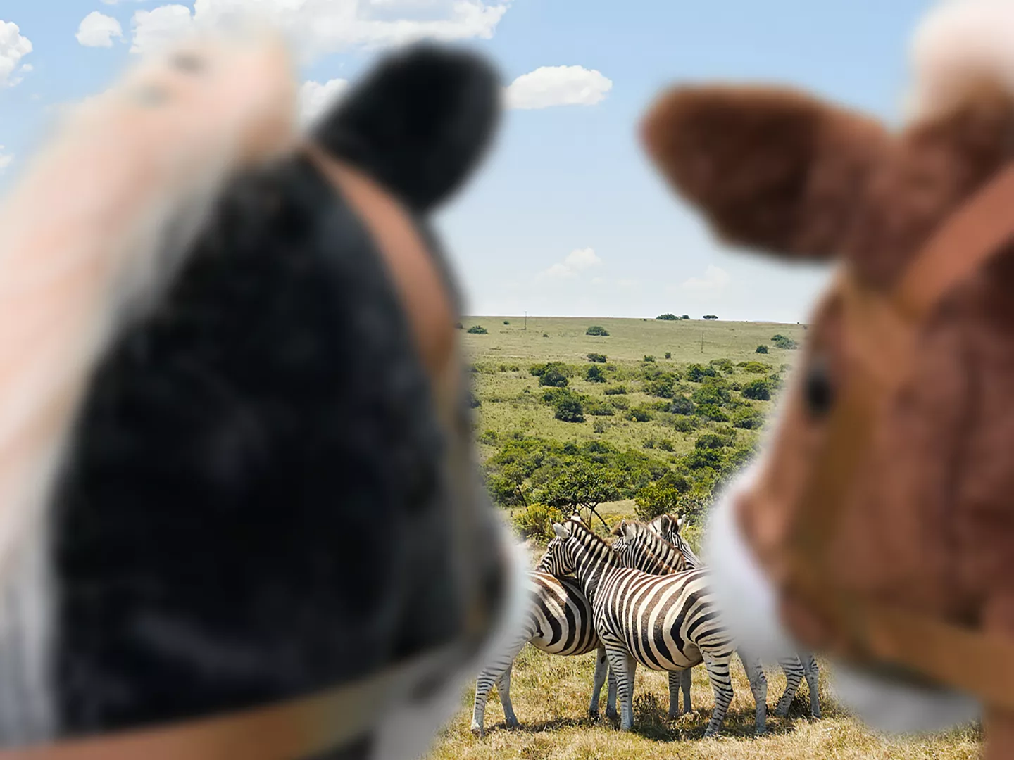 Mit unseren Steckenpferden auf Erkundungstour gehen