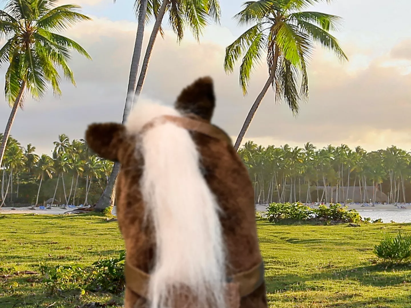 Mit unseren Steckenpferden auf Erkundungstour gehen