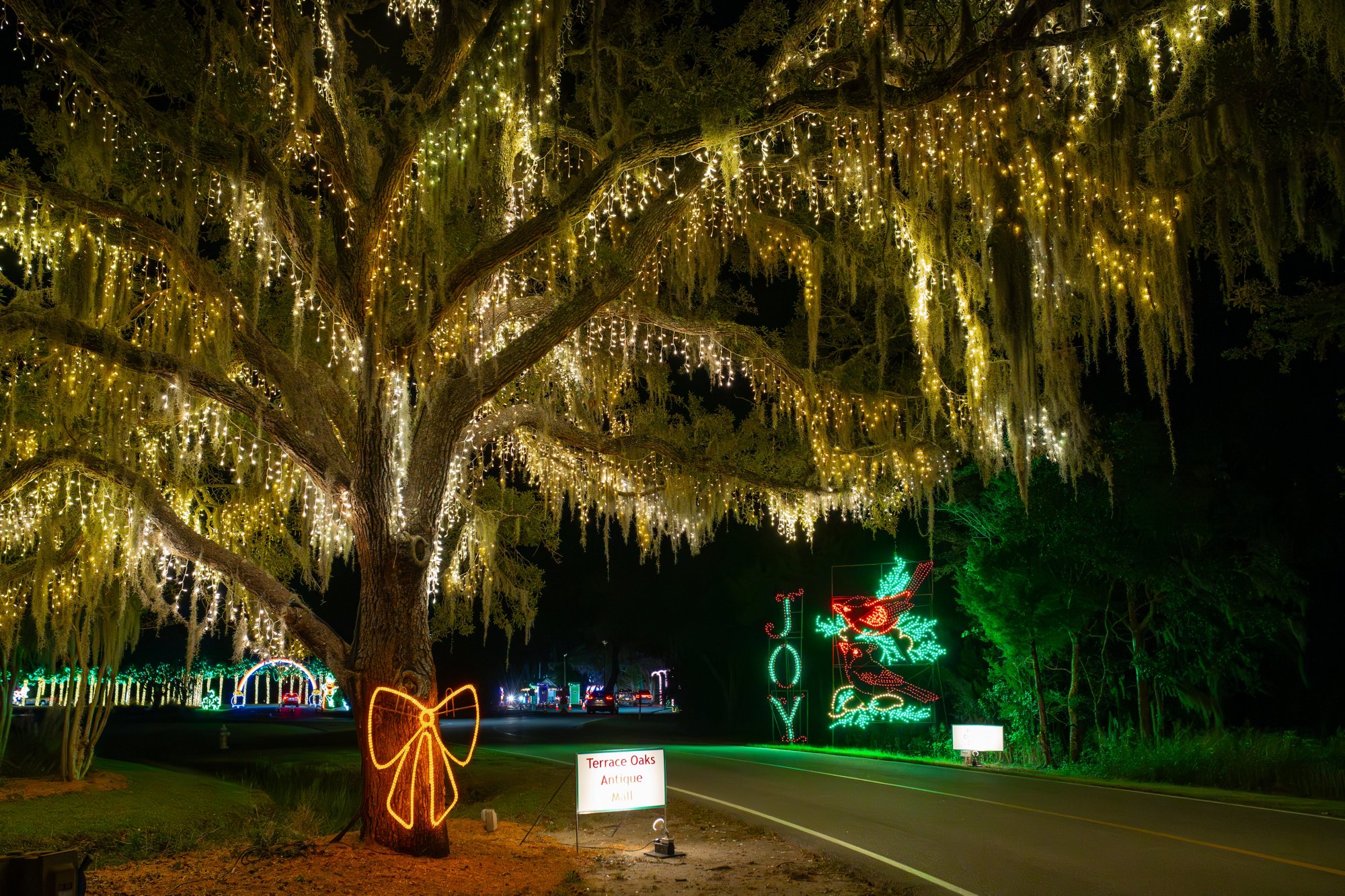 Weihnachtslichter & Winterfreude