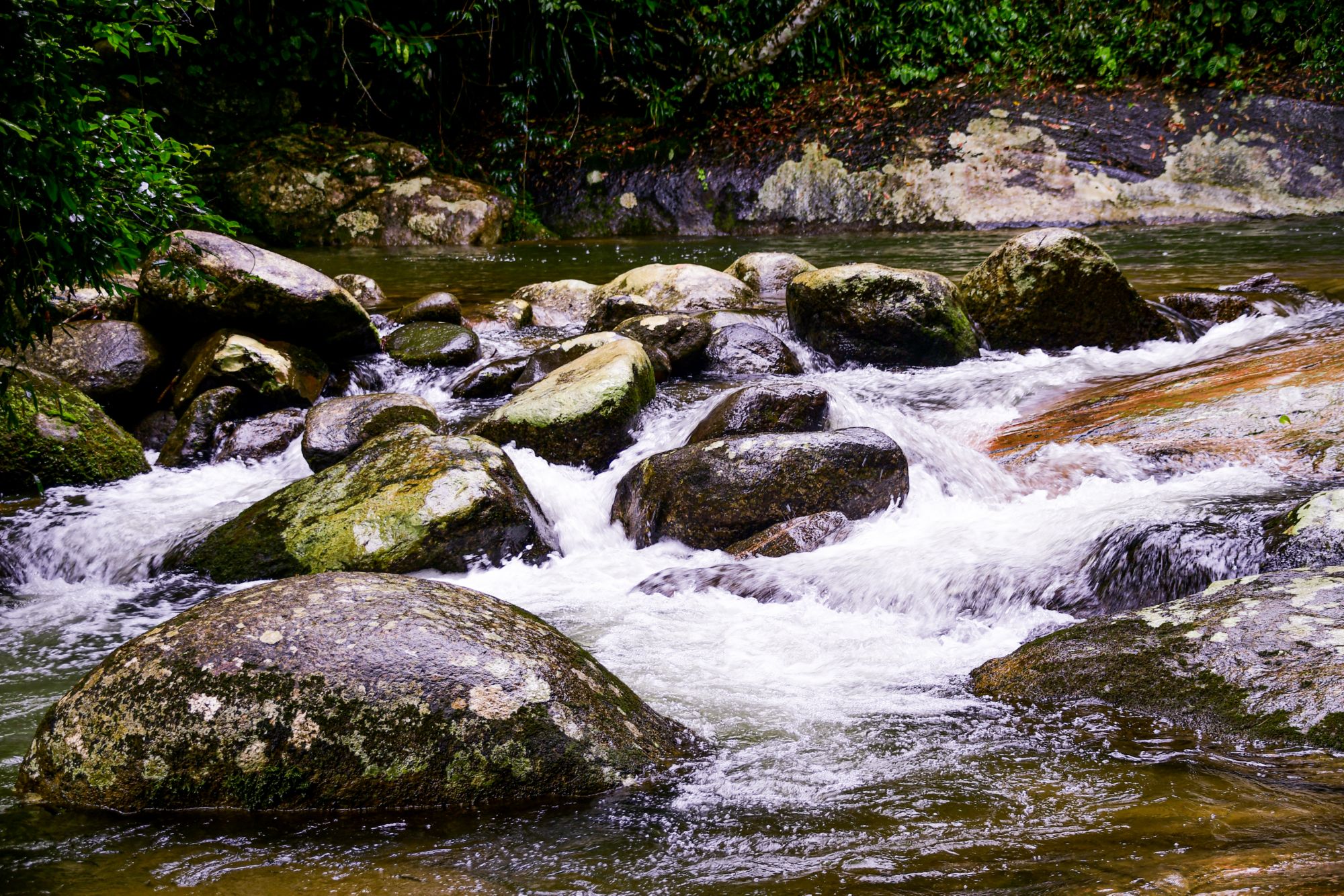 IBE09_WebtourTravel_MataAtlanicaRainForestTrek_1.JPG