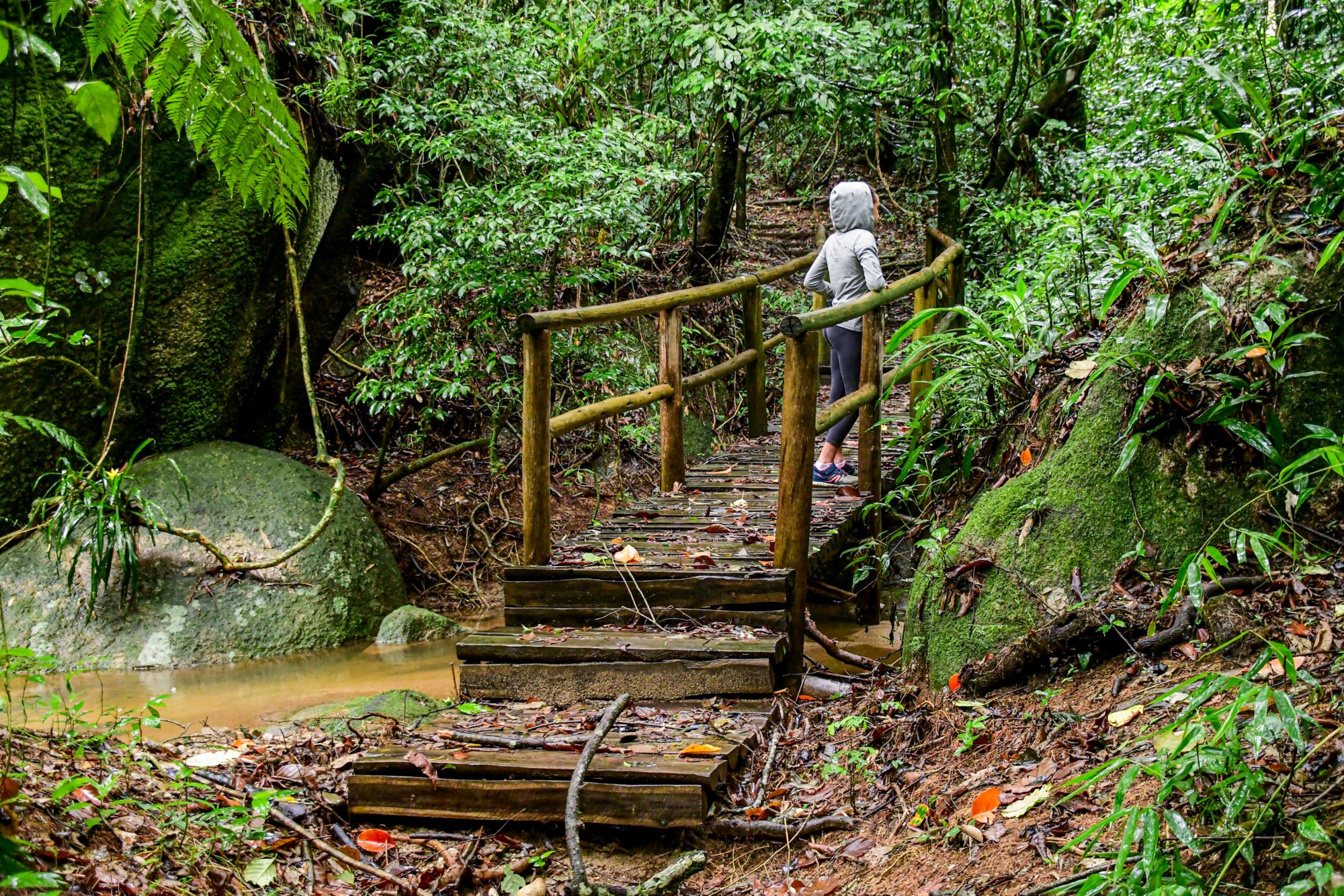 Abenteuer Atlantischer Regenwald