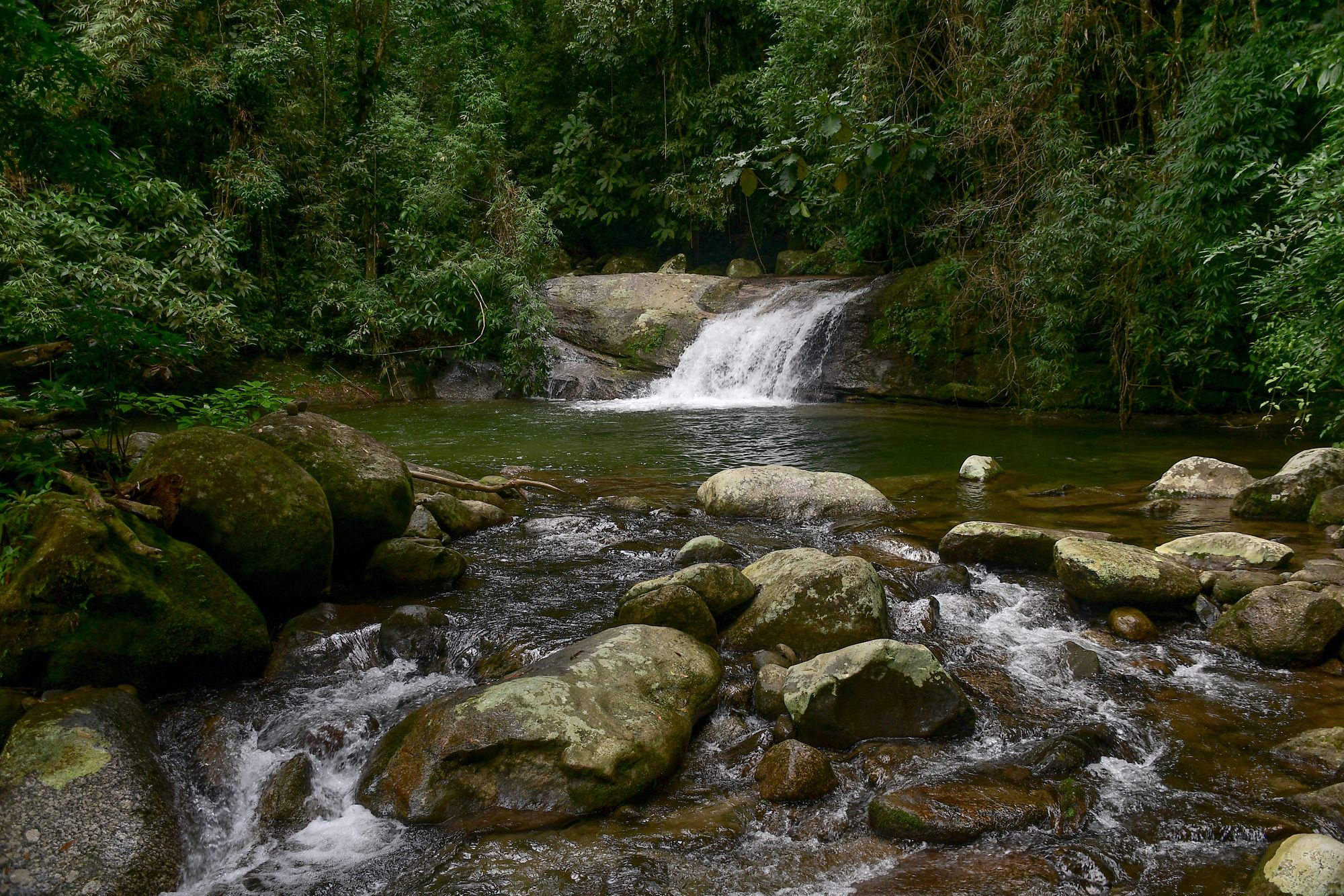 IBE09_WebtourTravel_MataAtlanicaRainForestTrek_7.JPG