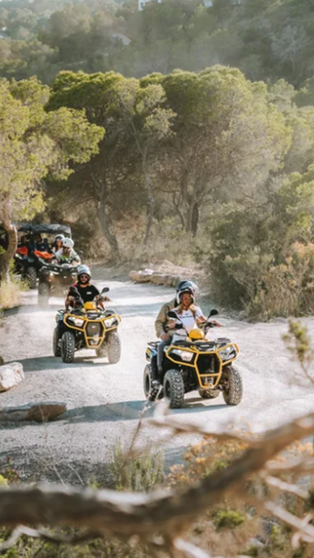 IBZ01_QUAD_hoch_003.png