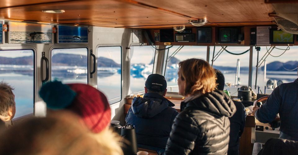 Untitled design - Icefjord cruise (5)