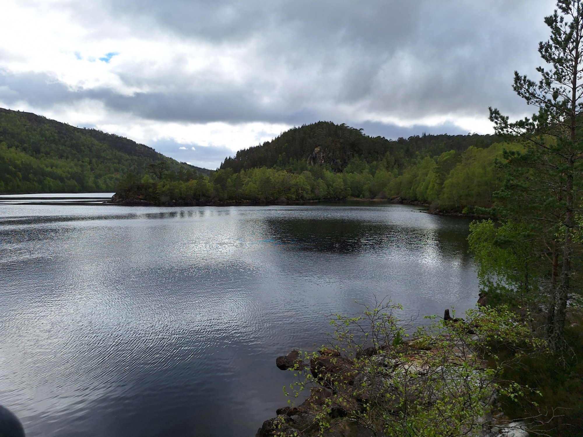 Bezauberndes Glen Affric und beeindruckende Highlands