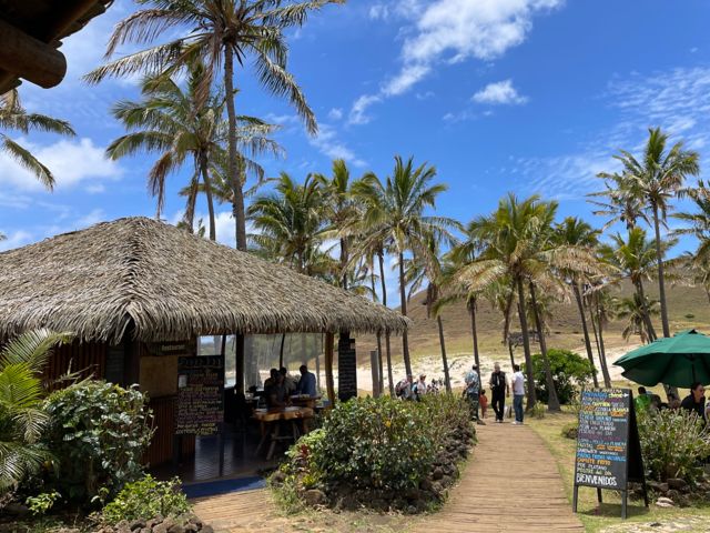IPC_IPC04_AnakenaStrand3_SO_2023_quer.JPG
