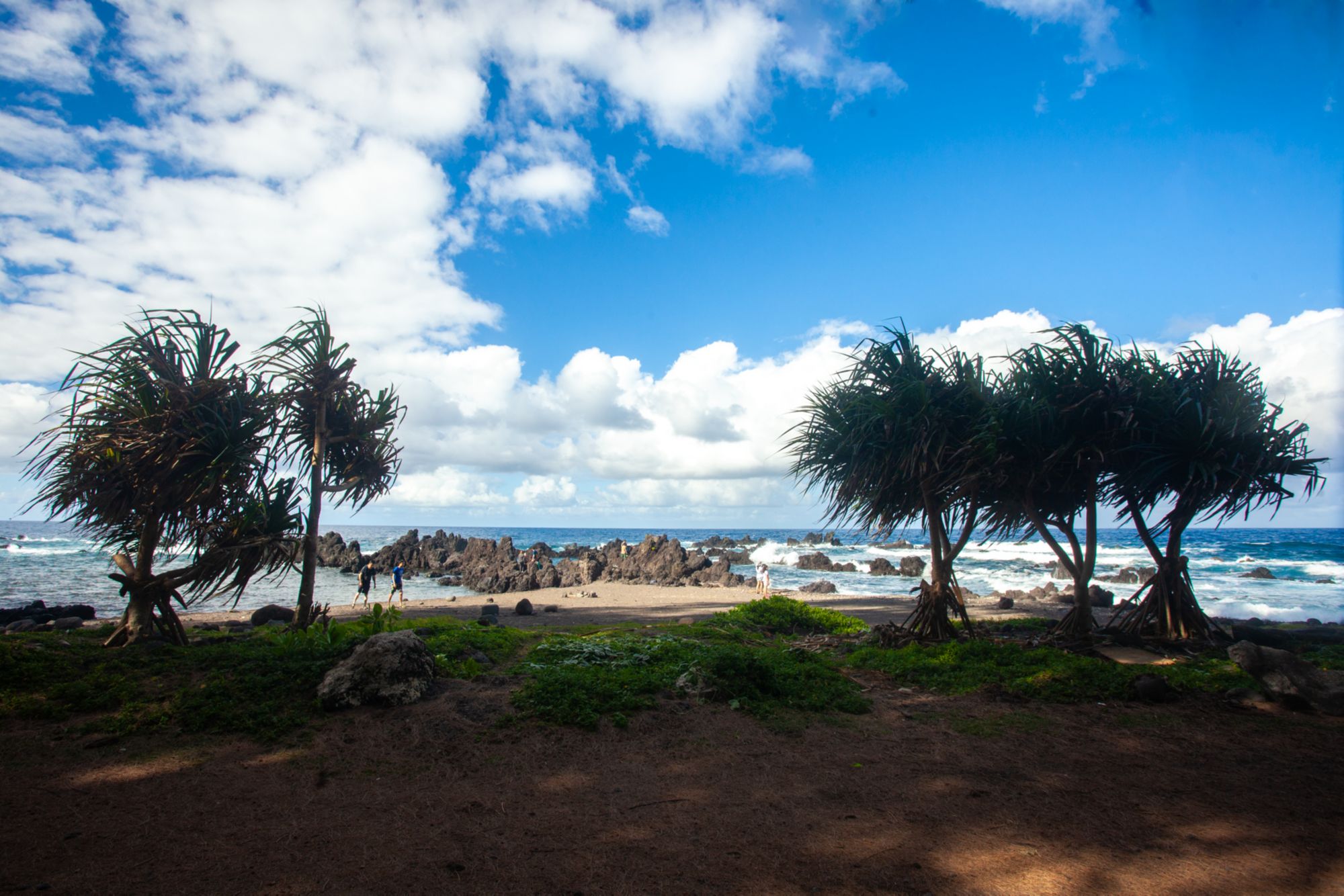 ITO04_BigIsland_KapohoKineAdventures_2025_quer_006.jpg
