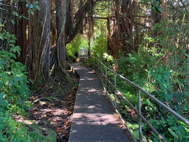 ITO05_AkakaFallsStateParkwalkway_PolynesianAdventureTours_2025_hoch_002.JPG