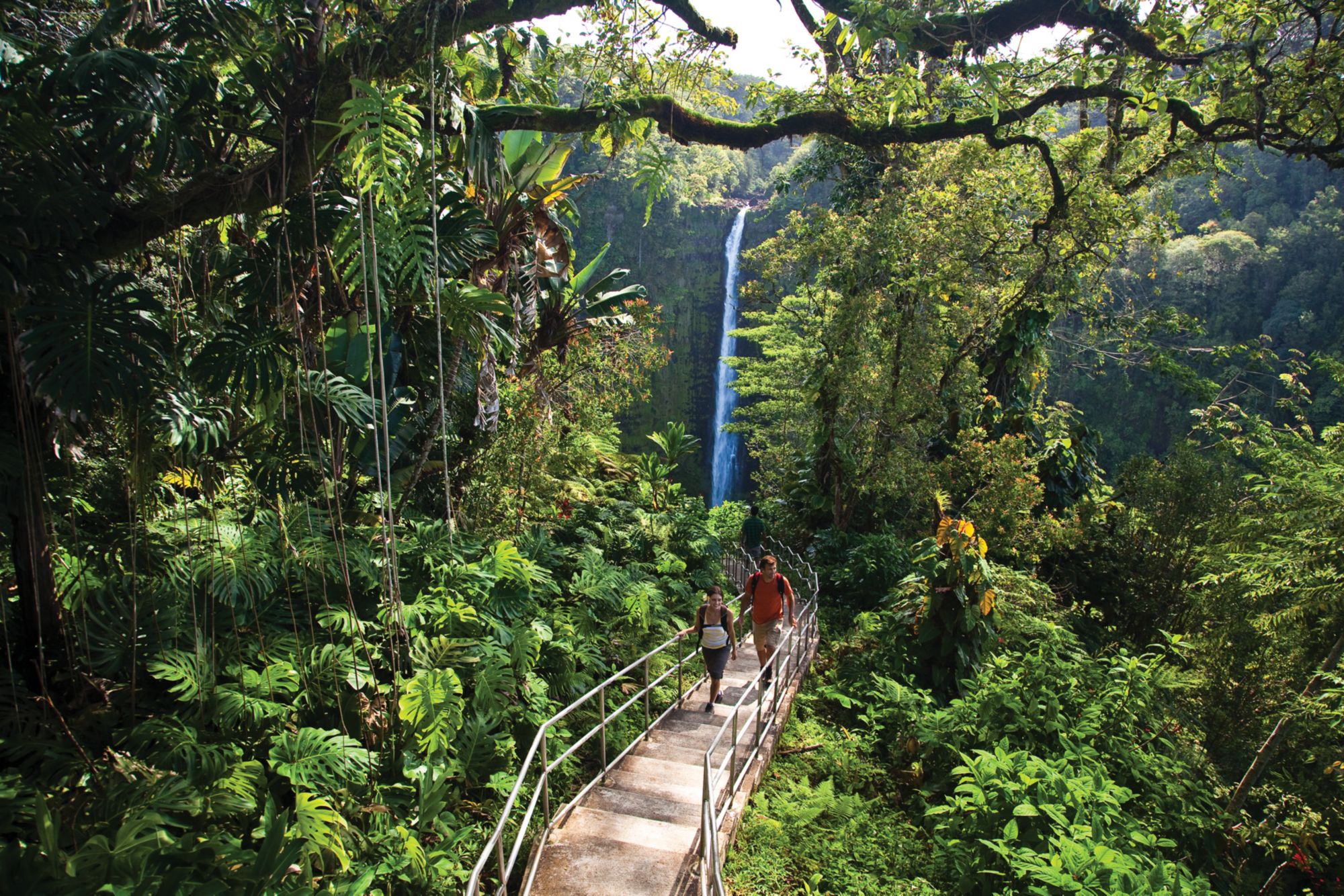 ITO05_AkakaFalls_PolynesianAdventureTours_2025_quer_007.jpg