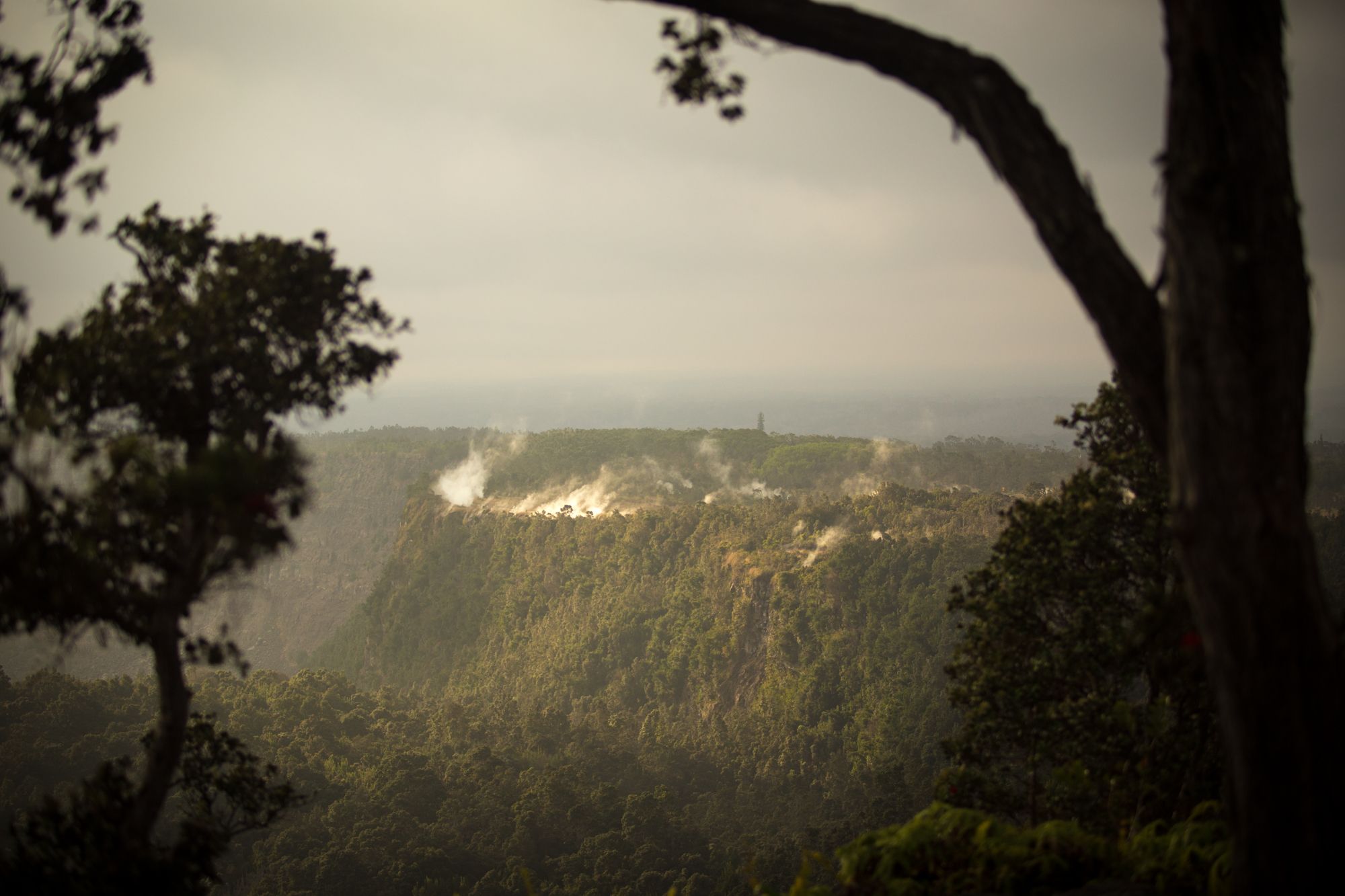 ITO09_HawaiiVolcanoesNationalPark2_KapohoKineAdventures_2025_quer_003.jpg