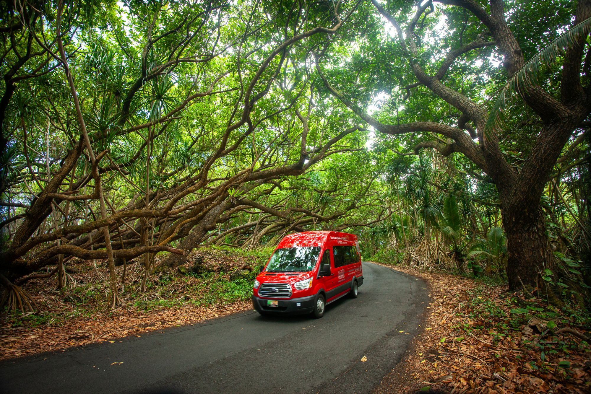 ITO10_KamehamehaSchoolsBus2_KapohoKineAdventures_2025_quer_006.jpg
