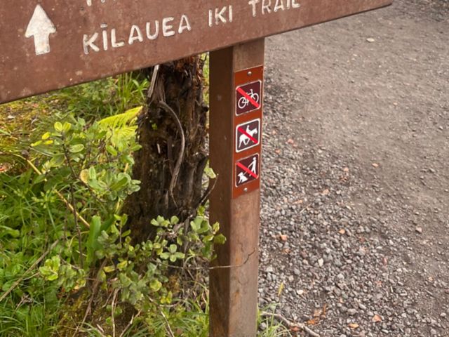ITO17_KilaueaSummitWalkandVolcanoHouseHeritageExperience4-CraterRimHike2_MCAInc_2025_004.jpg