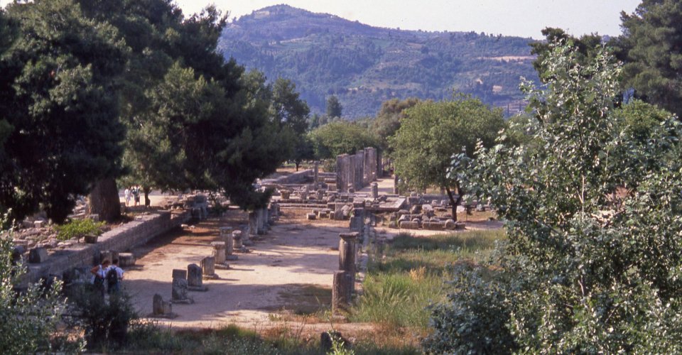 Katakolon - Accessible Ancient Olympia and Greek Olive Farm - 2