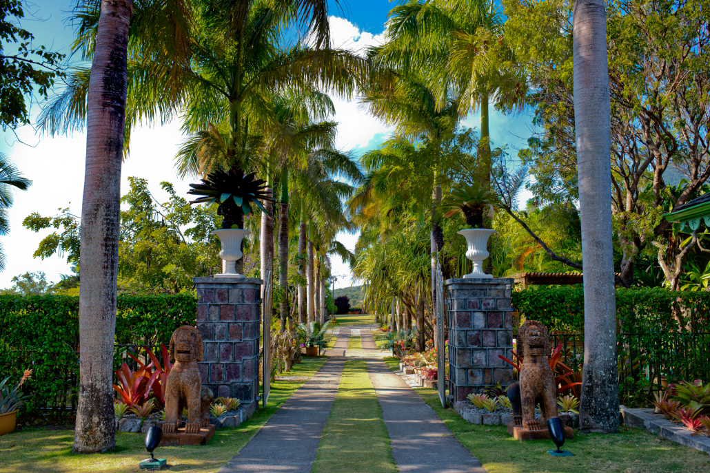 Nevis Botanischer Garten und Strand