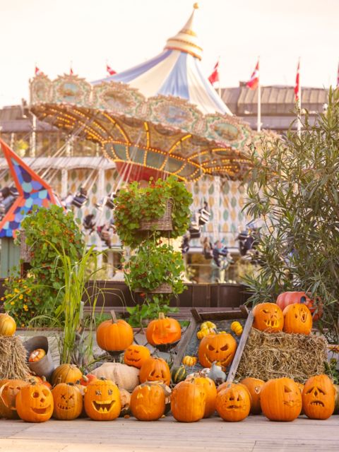 KOP31_TivoliHalloween_KuerbisseKarussell_3_BG_quer_2026_004.jpg