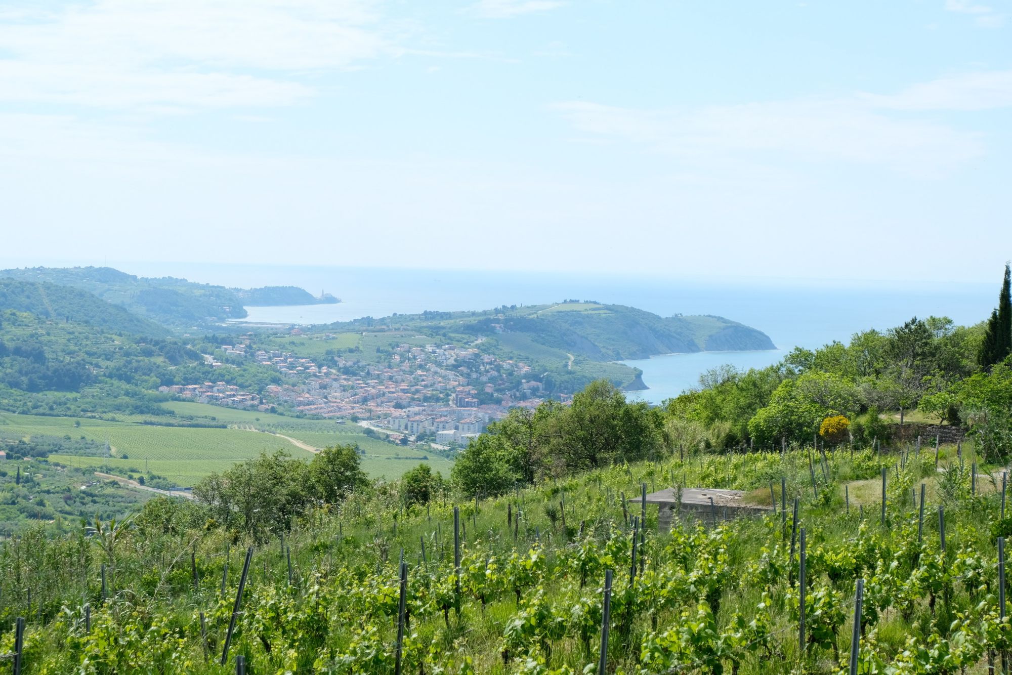 KPRB04_KPRB42_AussichtaufIzola_BL_2025_003.jpg