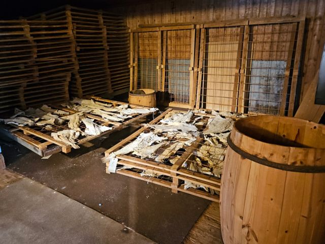 KSU06_Klippfischmuseuminnen_LU_2026_quer.jpg