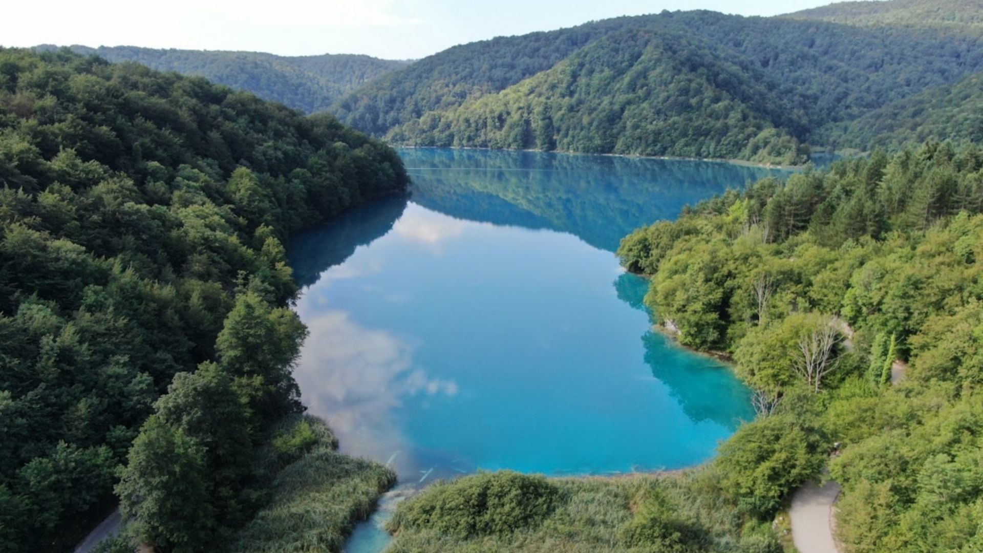 Kozjak2.jpg
