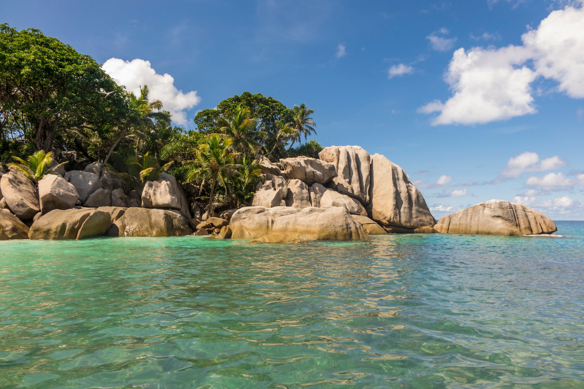 Schnorcheln auf Coco Island