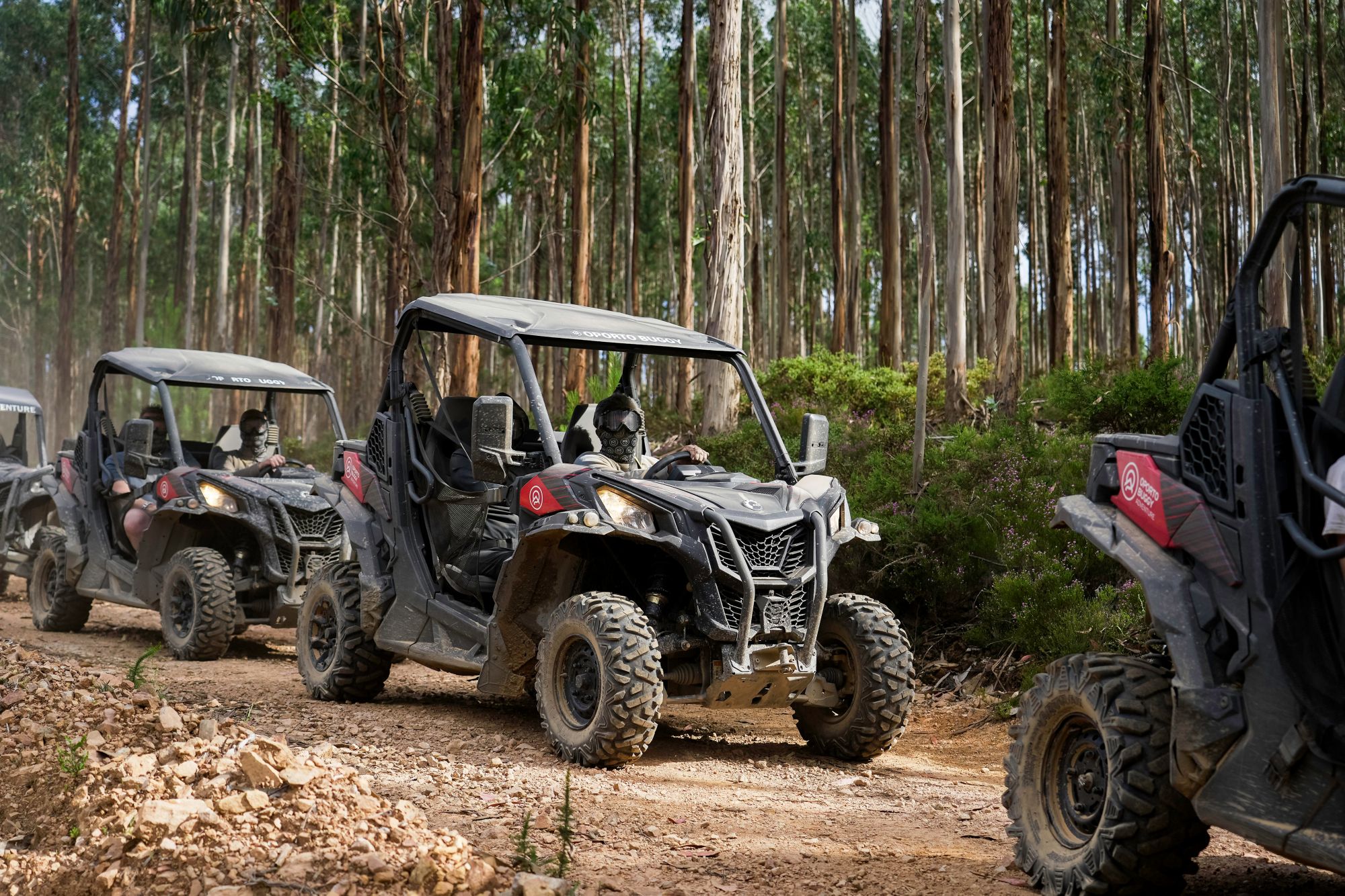 Offroad & On Fire