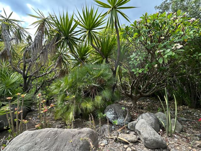 LPT02_BotanischerGarten_SO_2024_quer.jpg