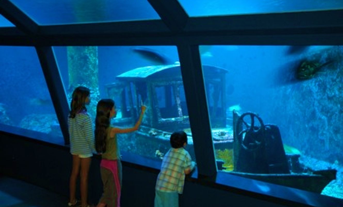 LPT03_Aquarium_quer_001.png