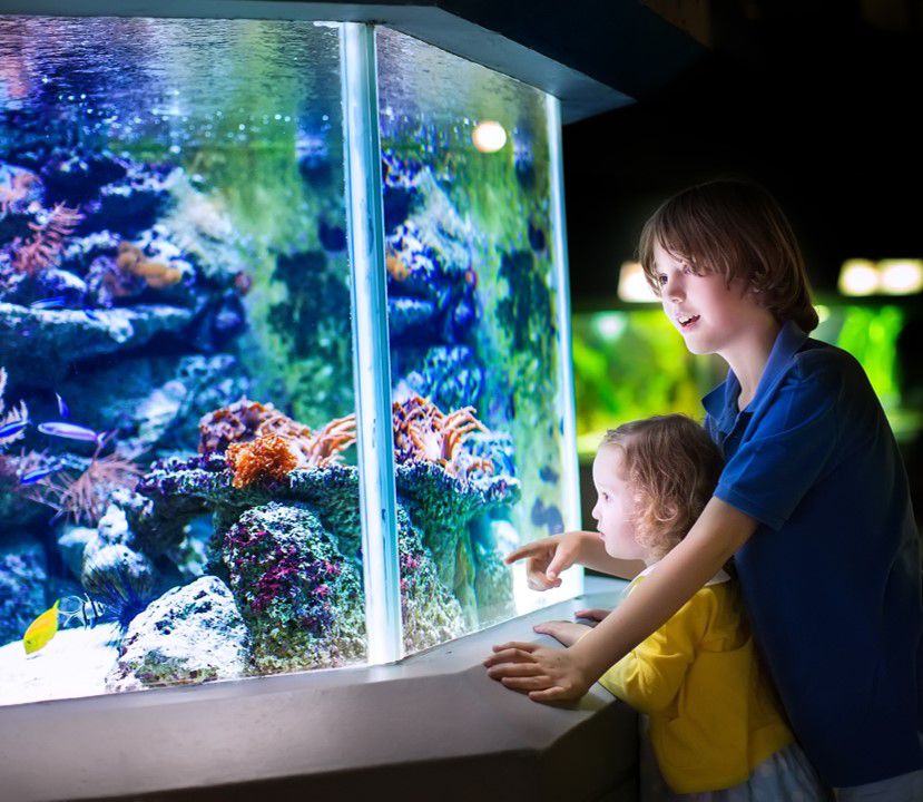 LPT03_Aquarium_quer_002.jpg