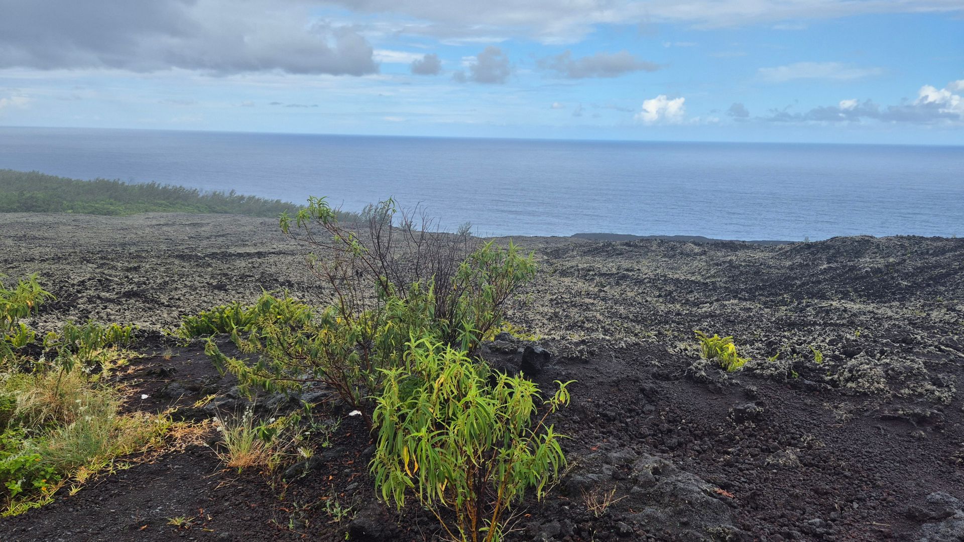 LPT10_Lavafelder_2025_ST_quer_004.jpg